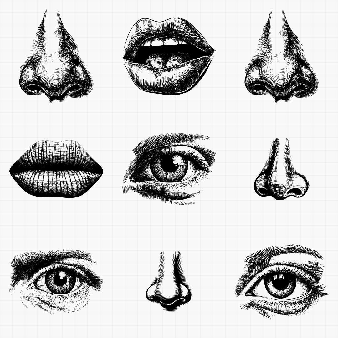 Human Facial Features Svg Pack - Thumbnail 2