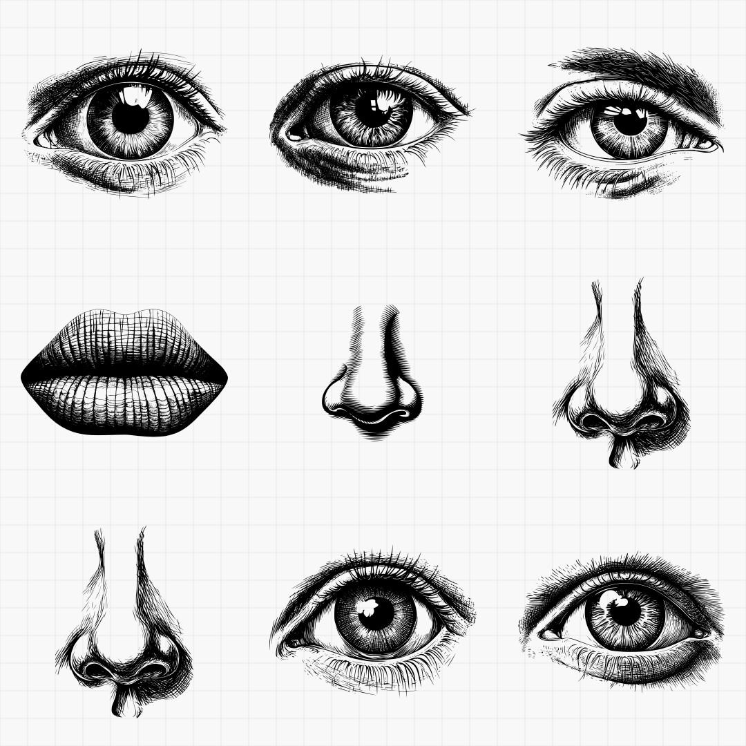 Human Facial Features Svg Pack - Thumbnail 6