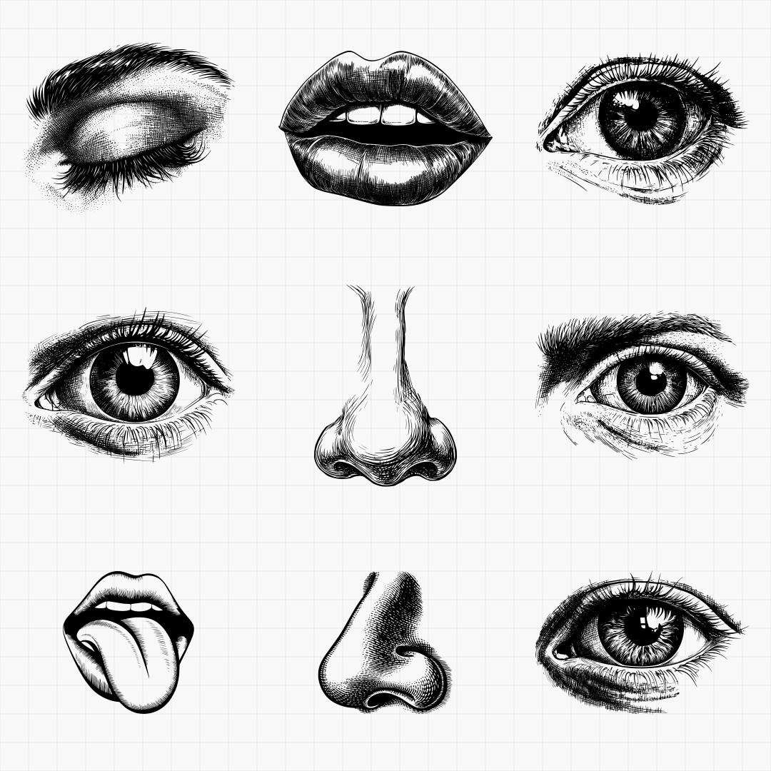 Human Facial Features Svg Pack - Thumbnail 9