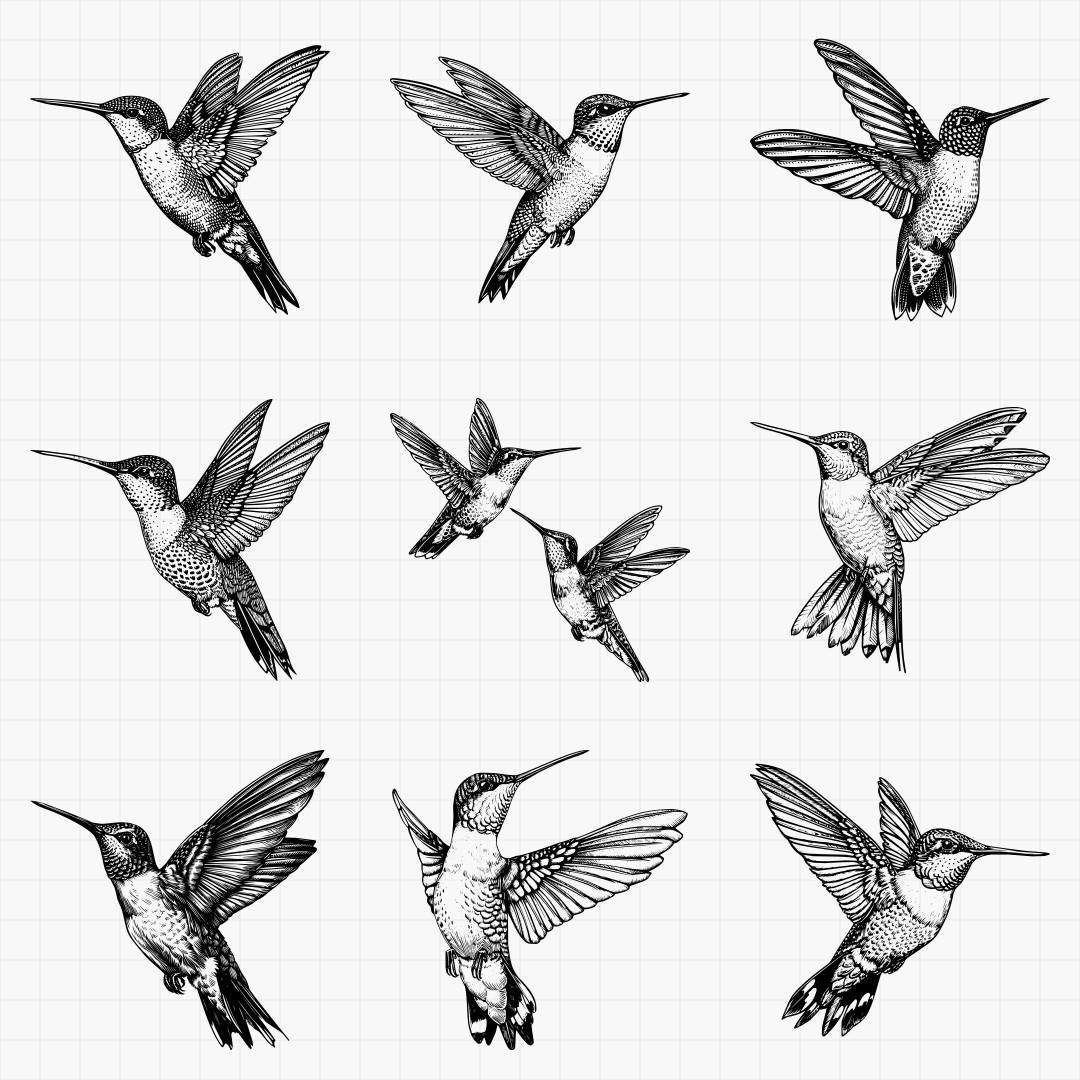 Humming Bird Designs - Thumbnail 2