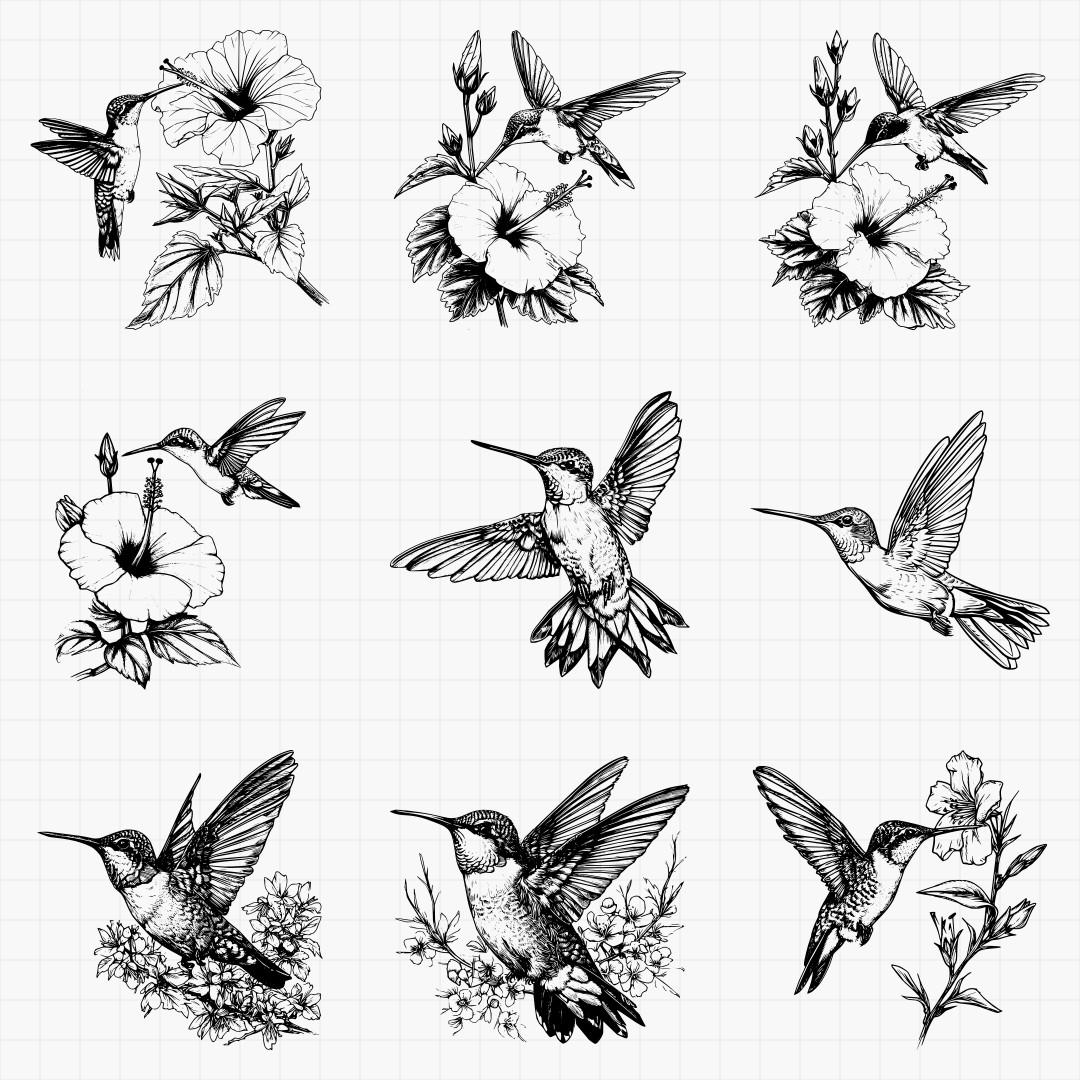Humming Bird Designs - Thumbnail 4