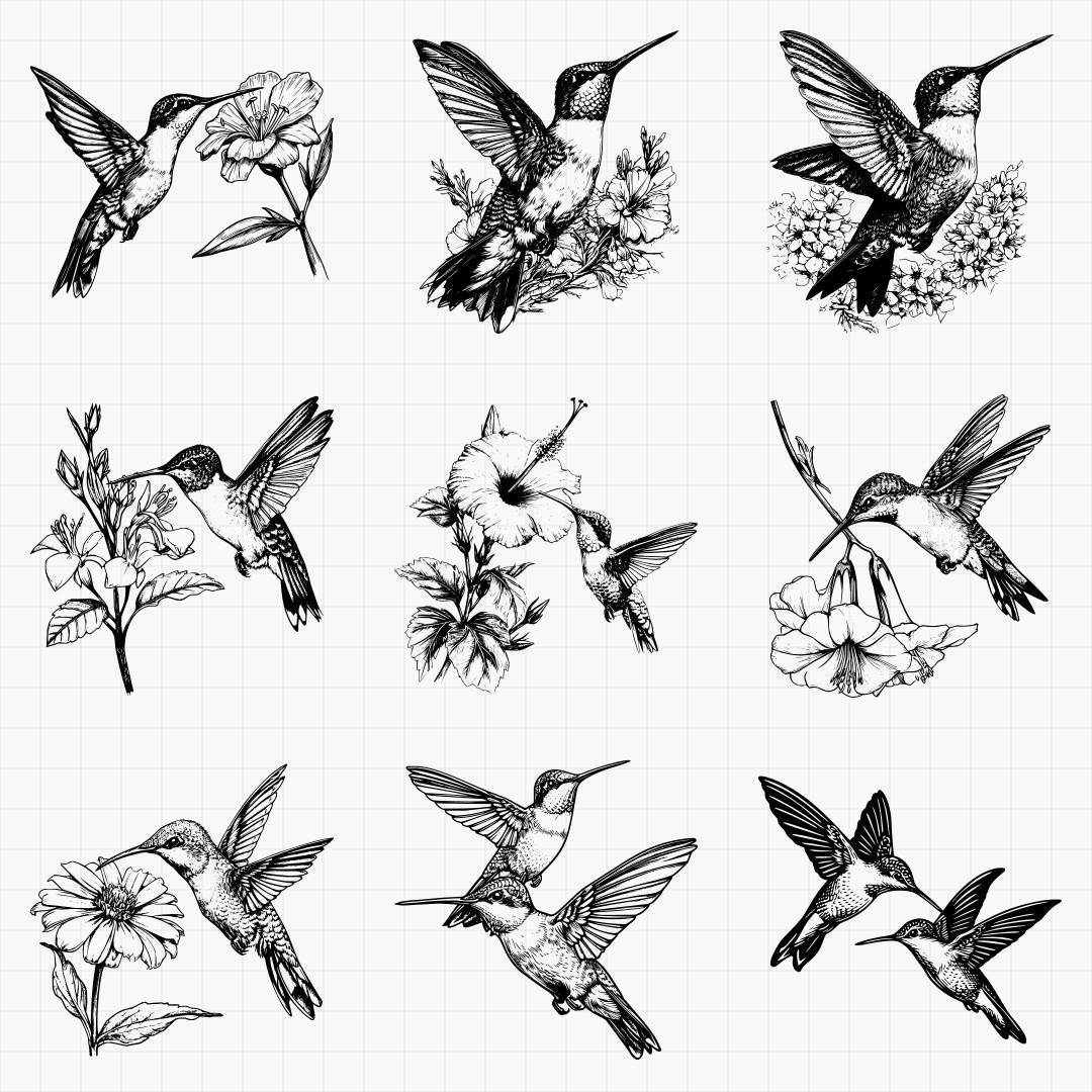 Humming Bird Designs - Thumbnail 5