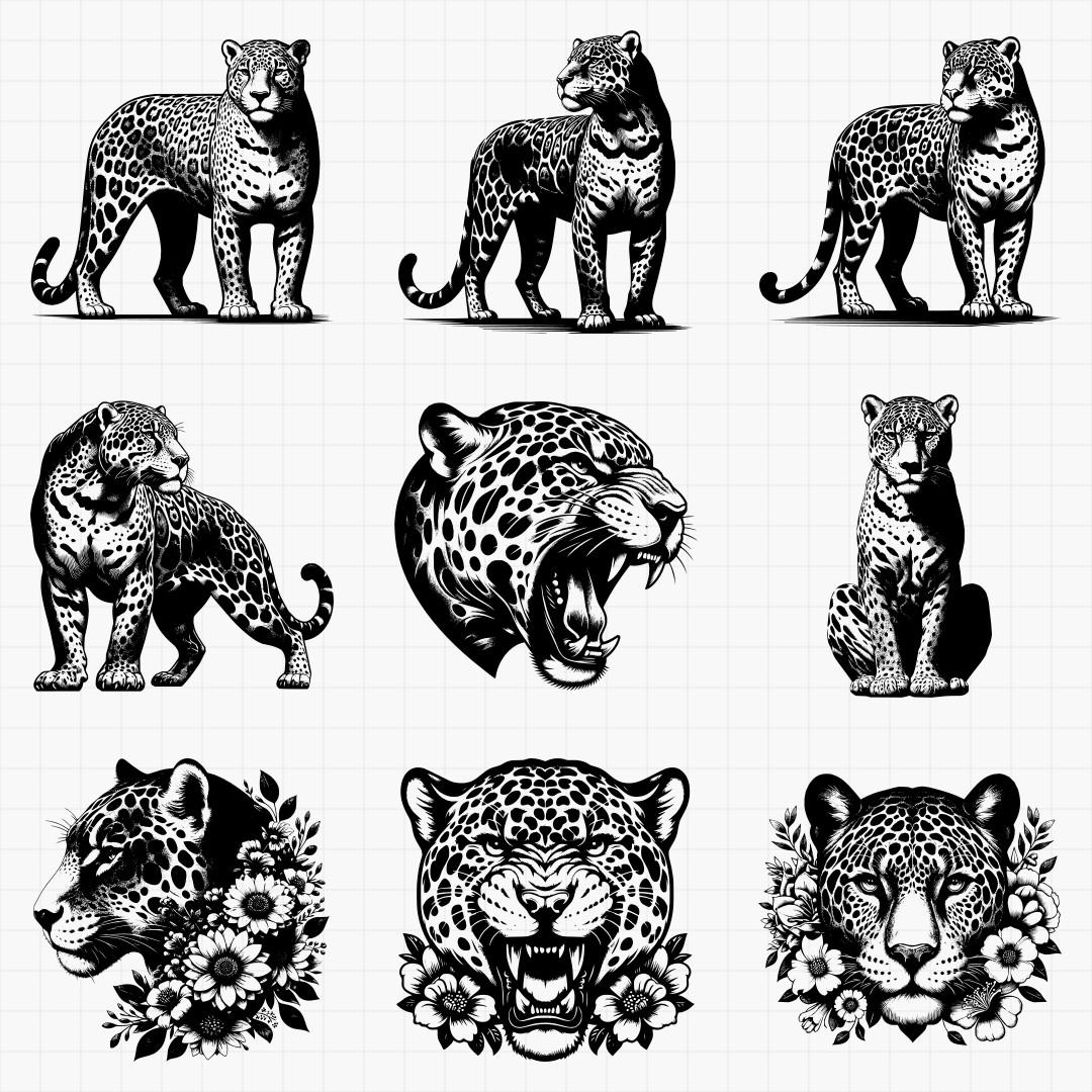 Jaguar Designs - Thumbnail 4