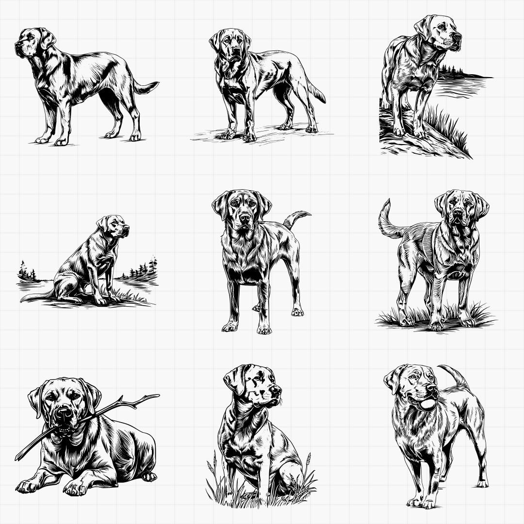 Labrador Designs - Thumbnail 4