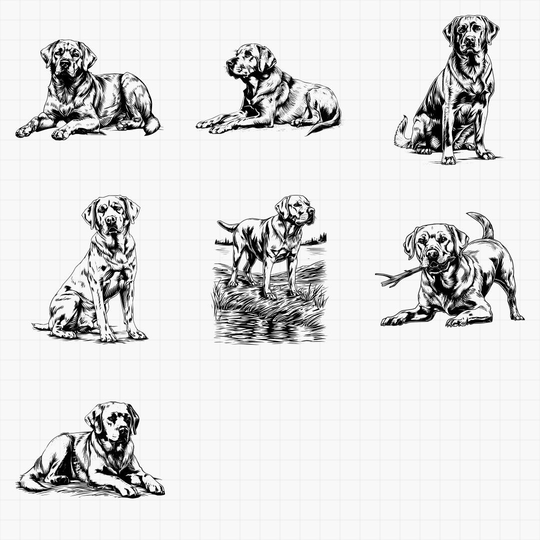 Labrador Designs - Thumbnail 5