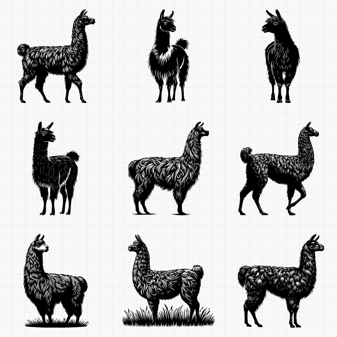 Llama Designs - Thumbnail 4