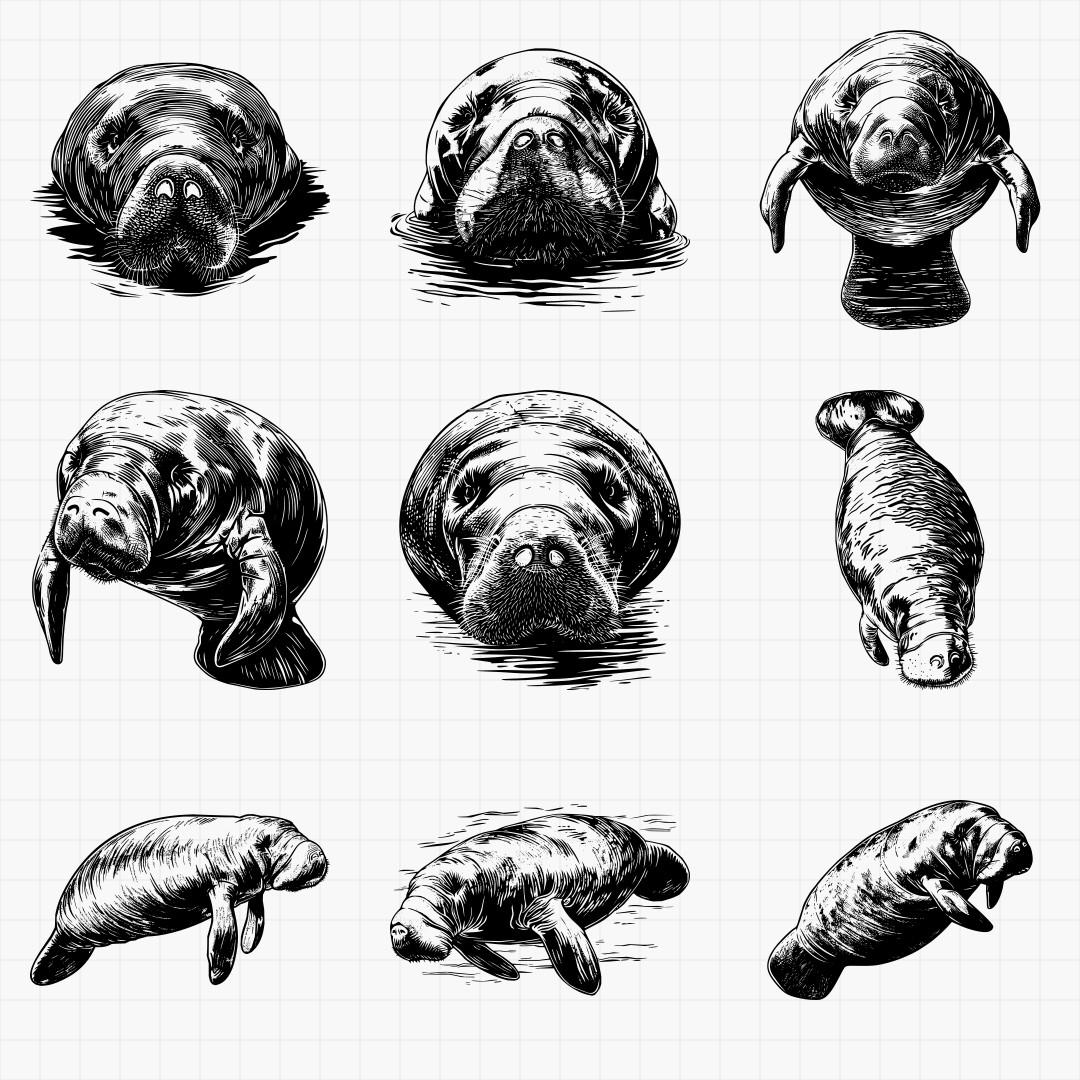 Manatee Designs - Thumbnail 2