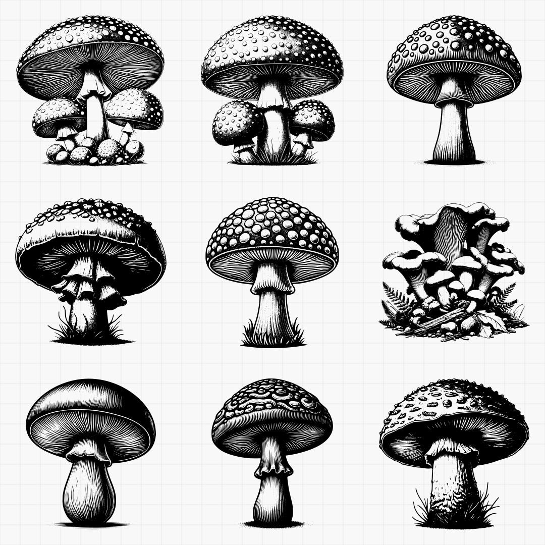 Mushrooms Design Pack - Thumbnail 2