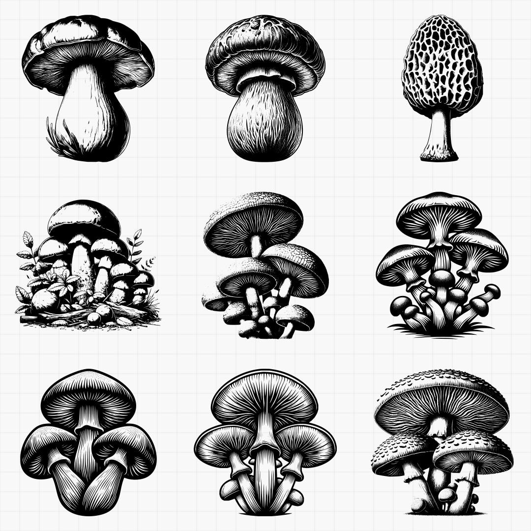 Mushrooms Design Pack - Thumbnail 3
