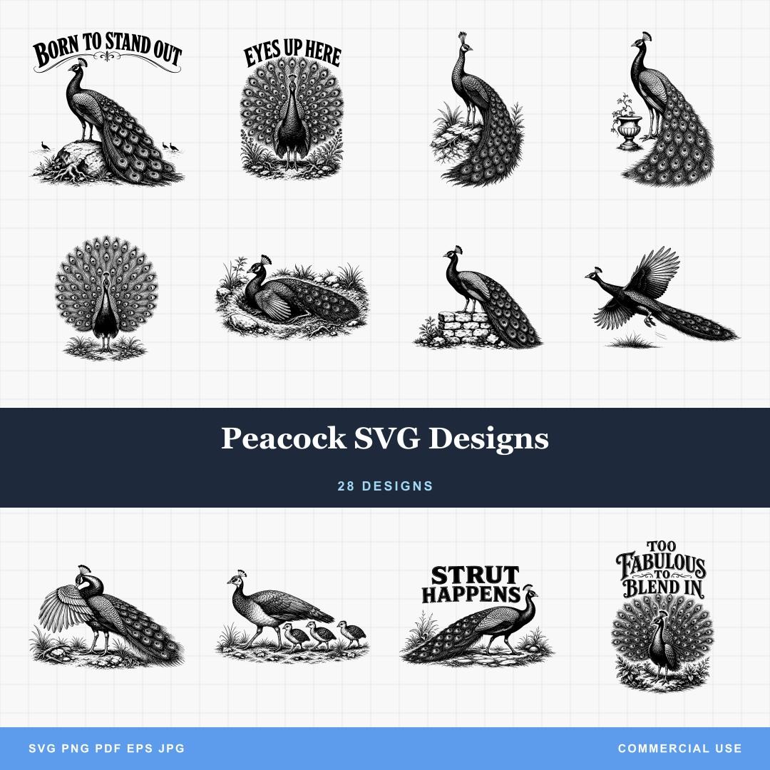 Peacock SVG Designs