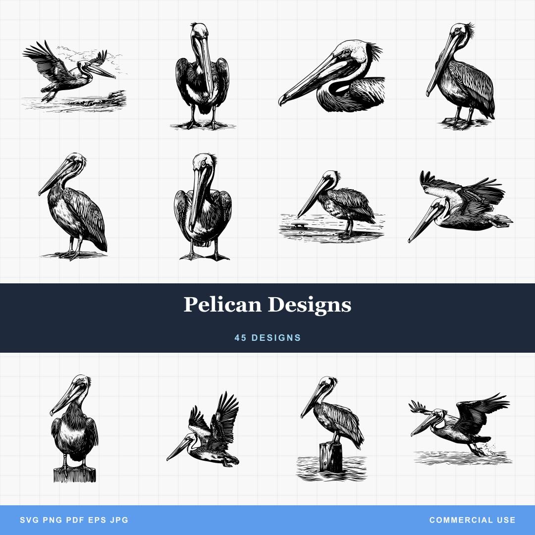Pelican Designs