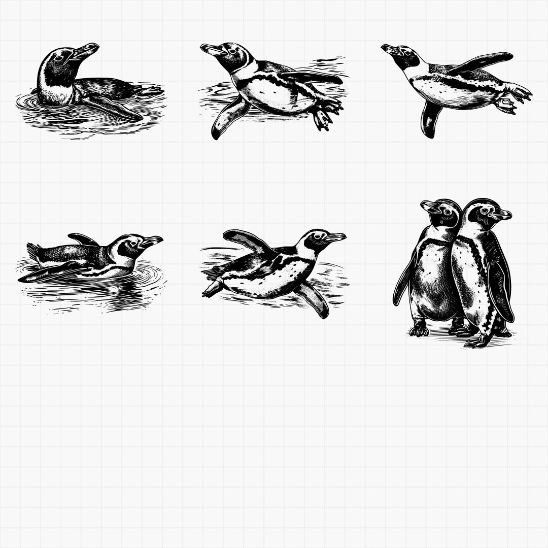 Penguin Designs - Thumbnail 5