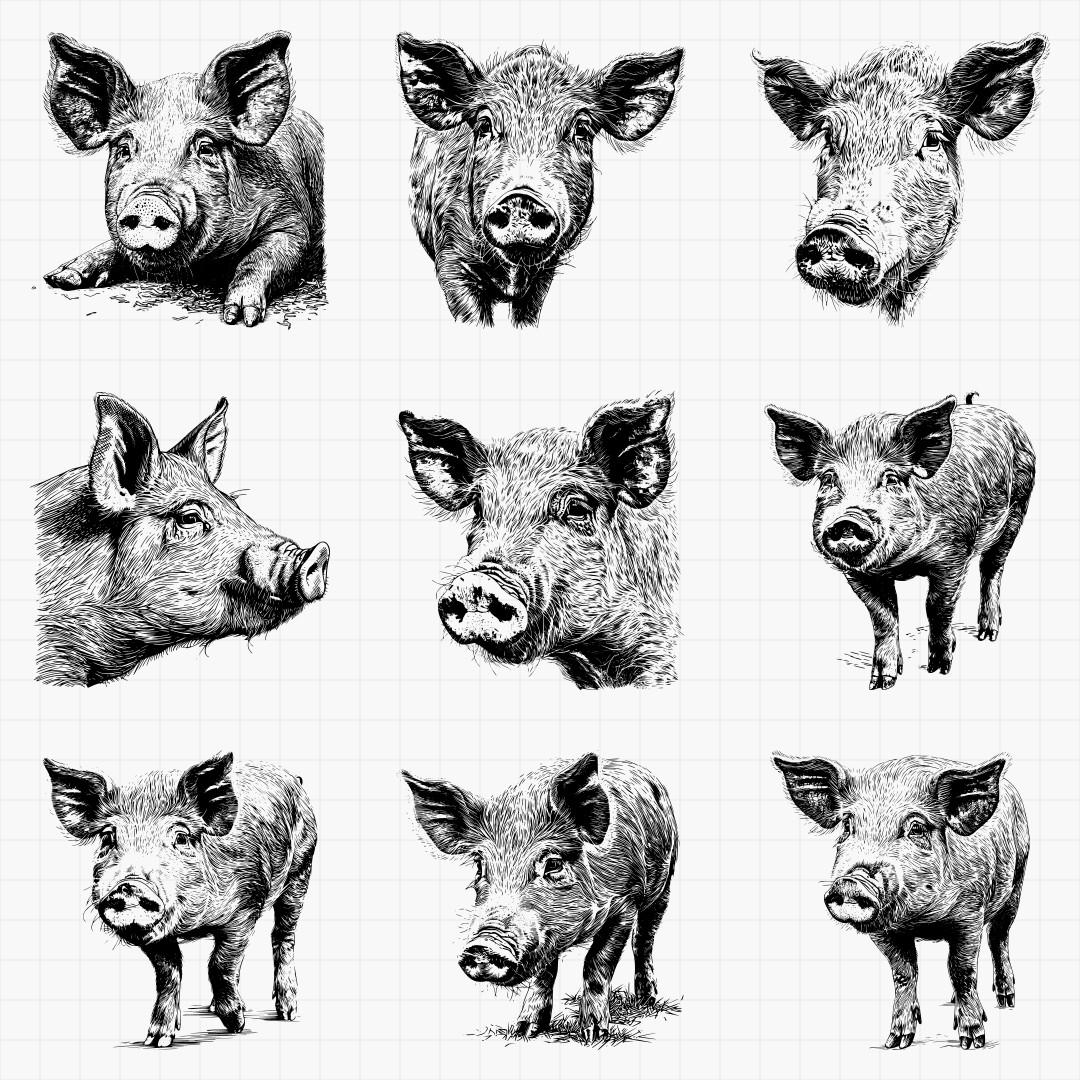 Pig Design Pack - Thumbnail 2