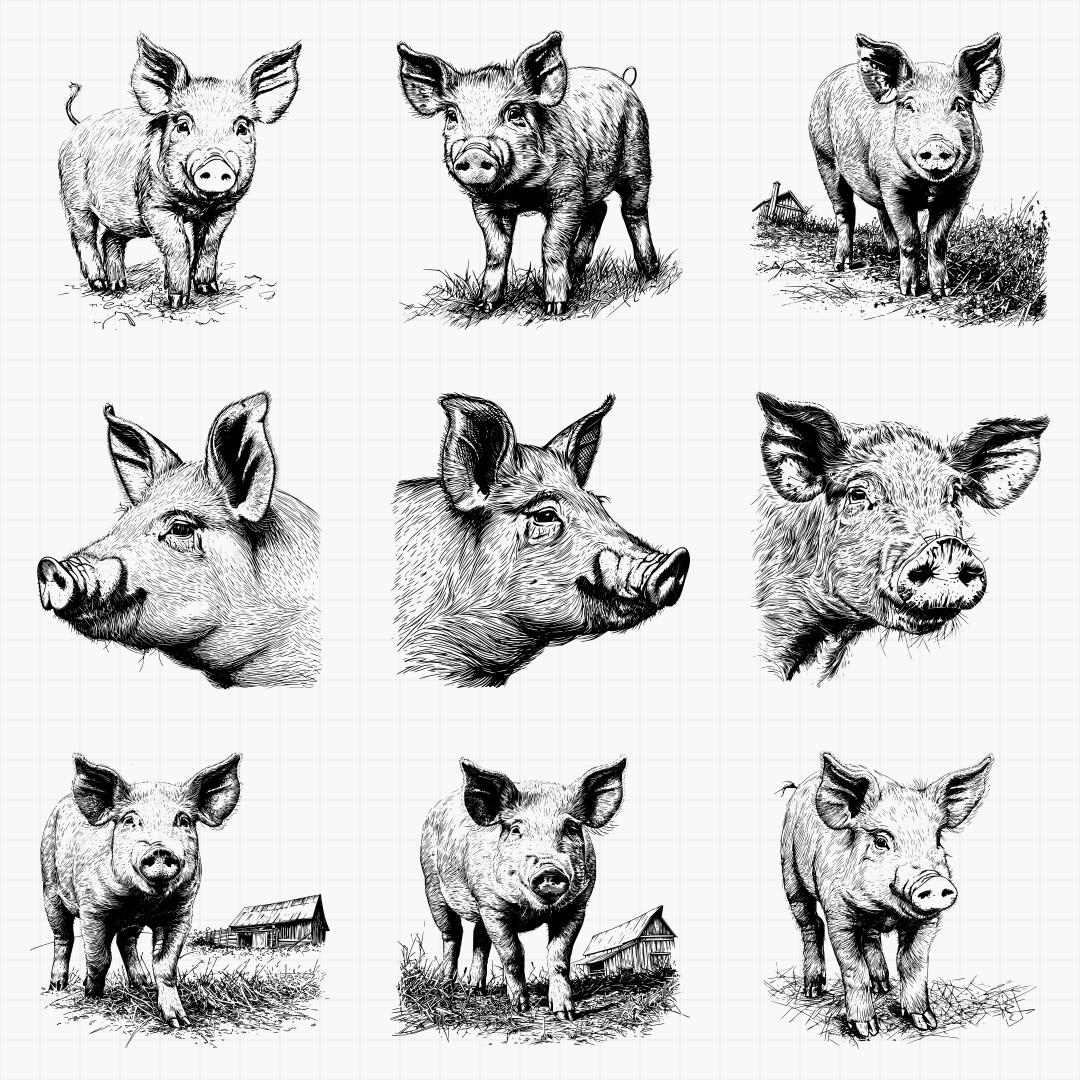 Pig Design Pack - Thumbnail 4