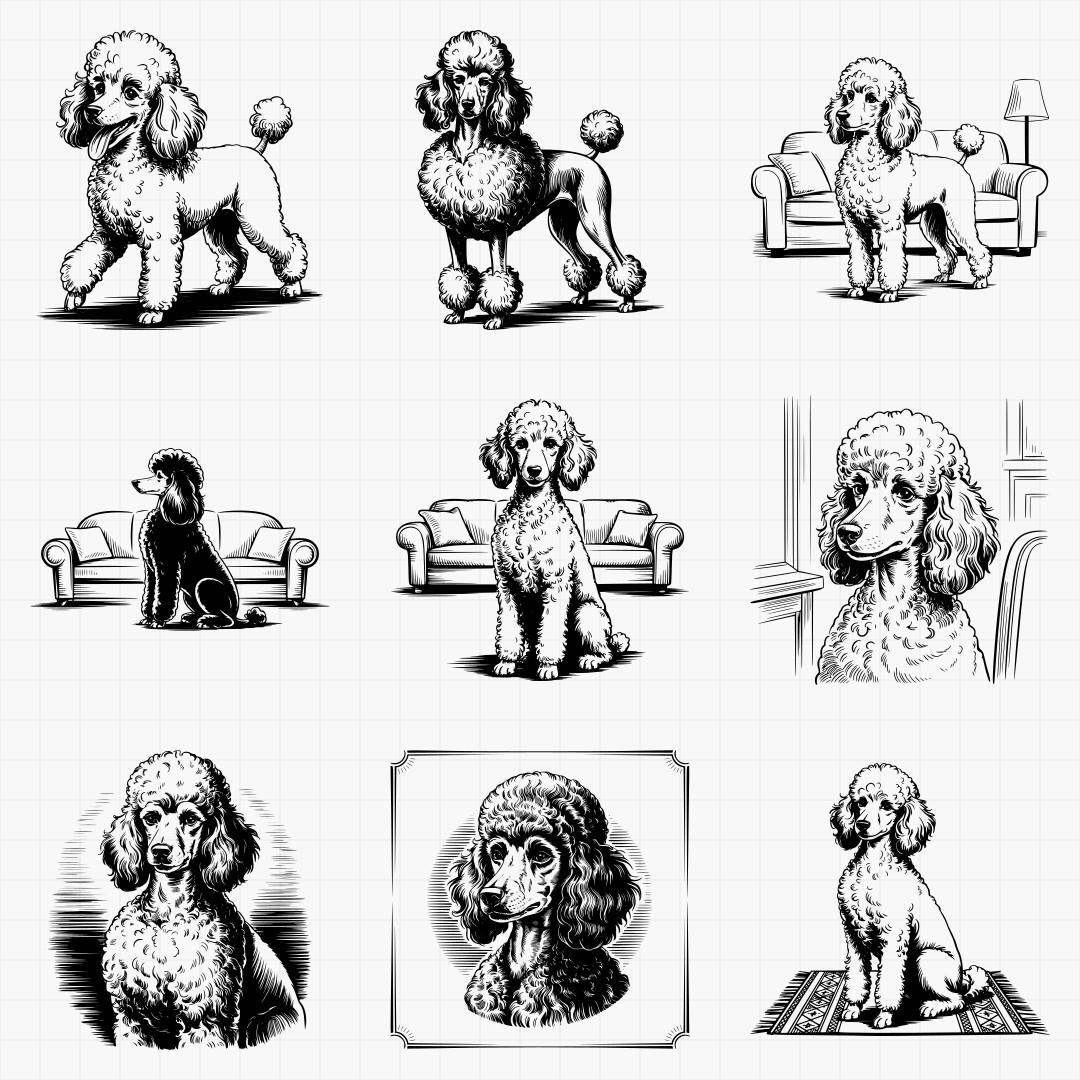 Poodle Designs - Thumbnail 3