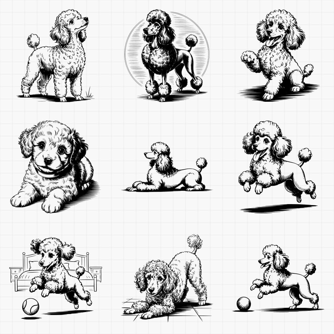 Poodle Designs - Thumbnail 4