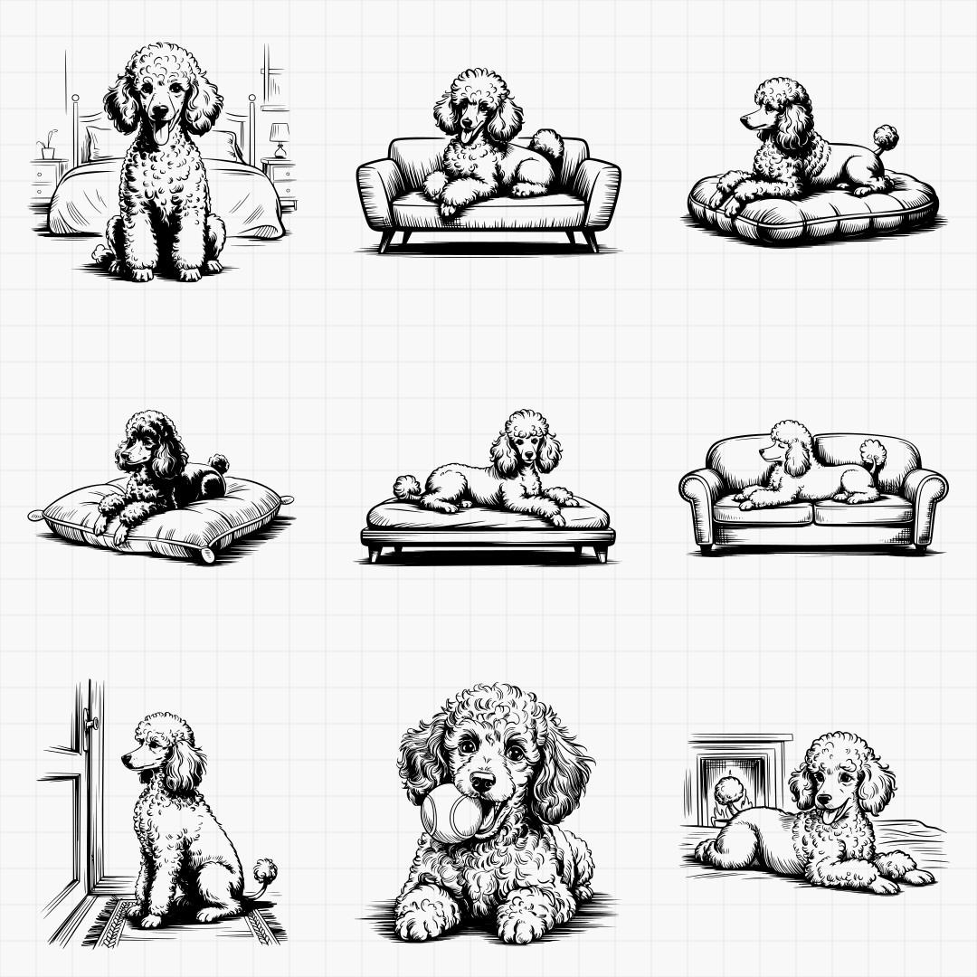 Poodle Designs - Thumbnail 5