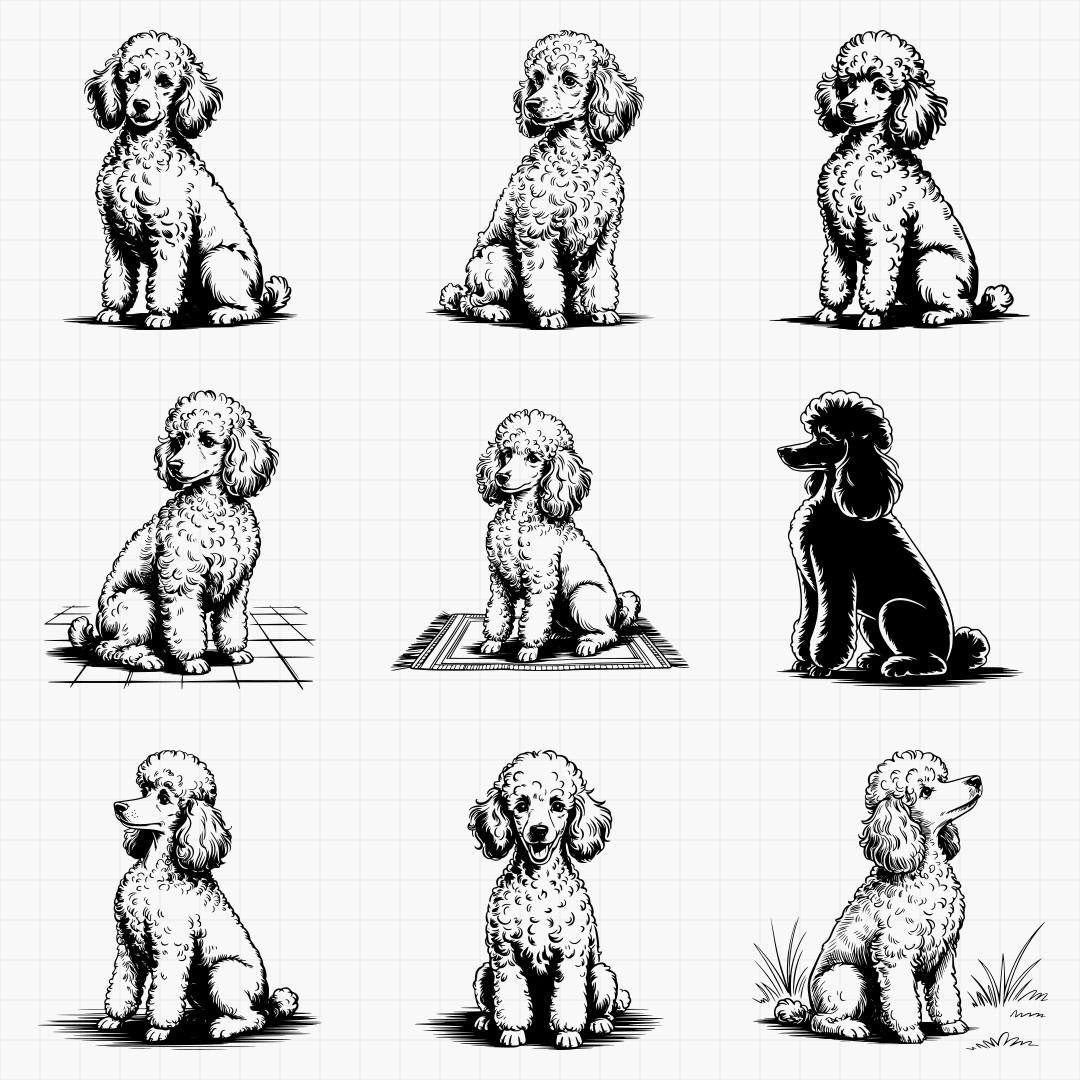 Poodle Designs - Thumbnail 7