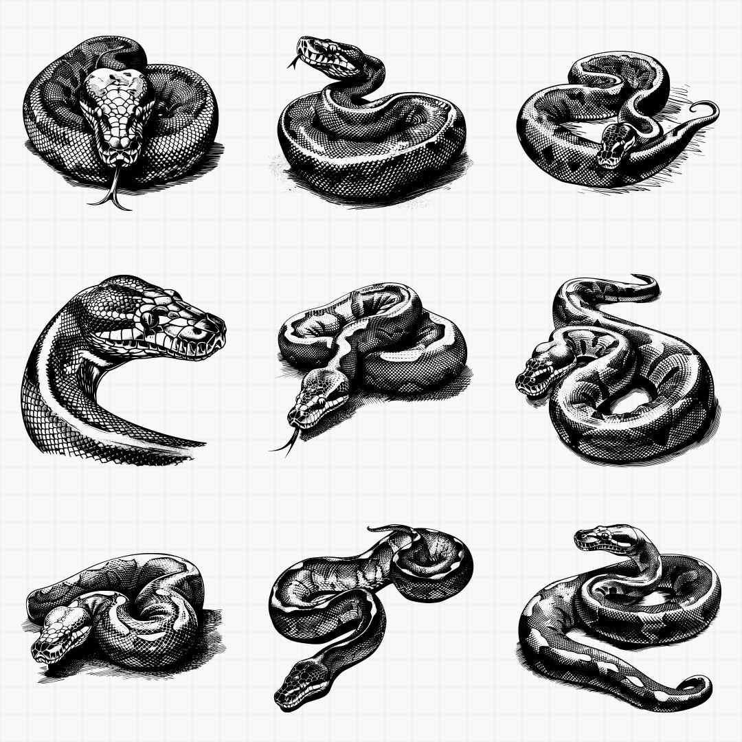 Python Designs - Thumbnail 2