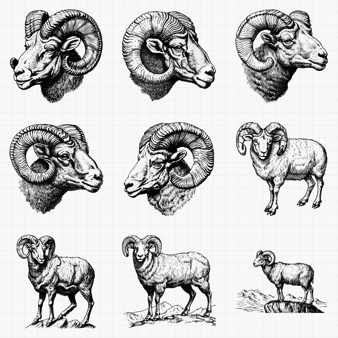 Ram Designs Pack - Thumbnail 4