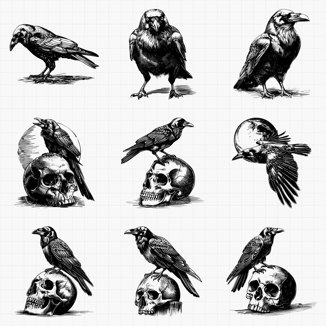 Raven Designs - Thumbnail 5