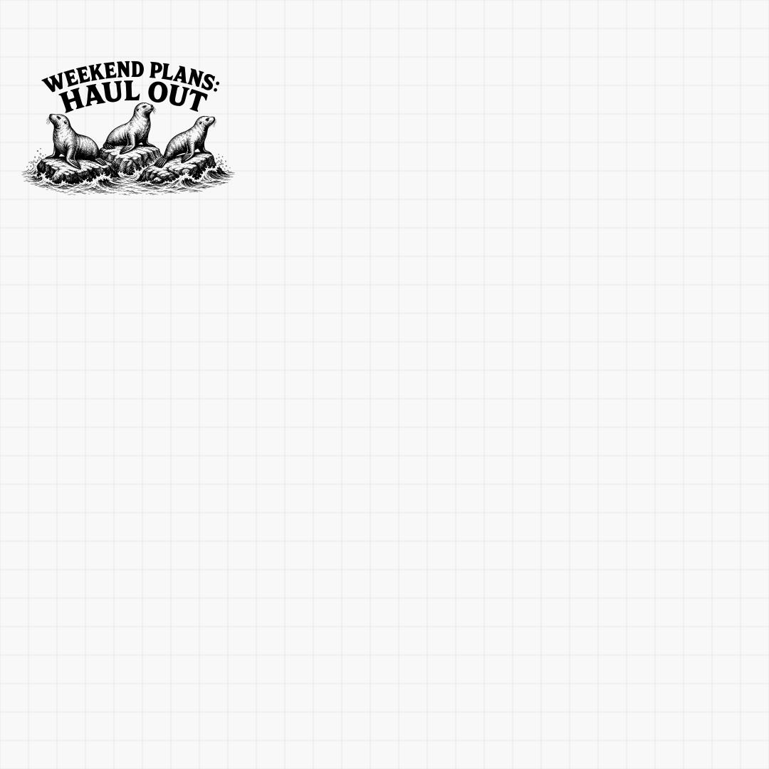 Seal and Sea Lion SVG Designs - Thumbnail 5
