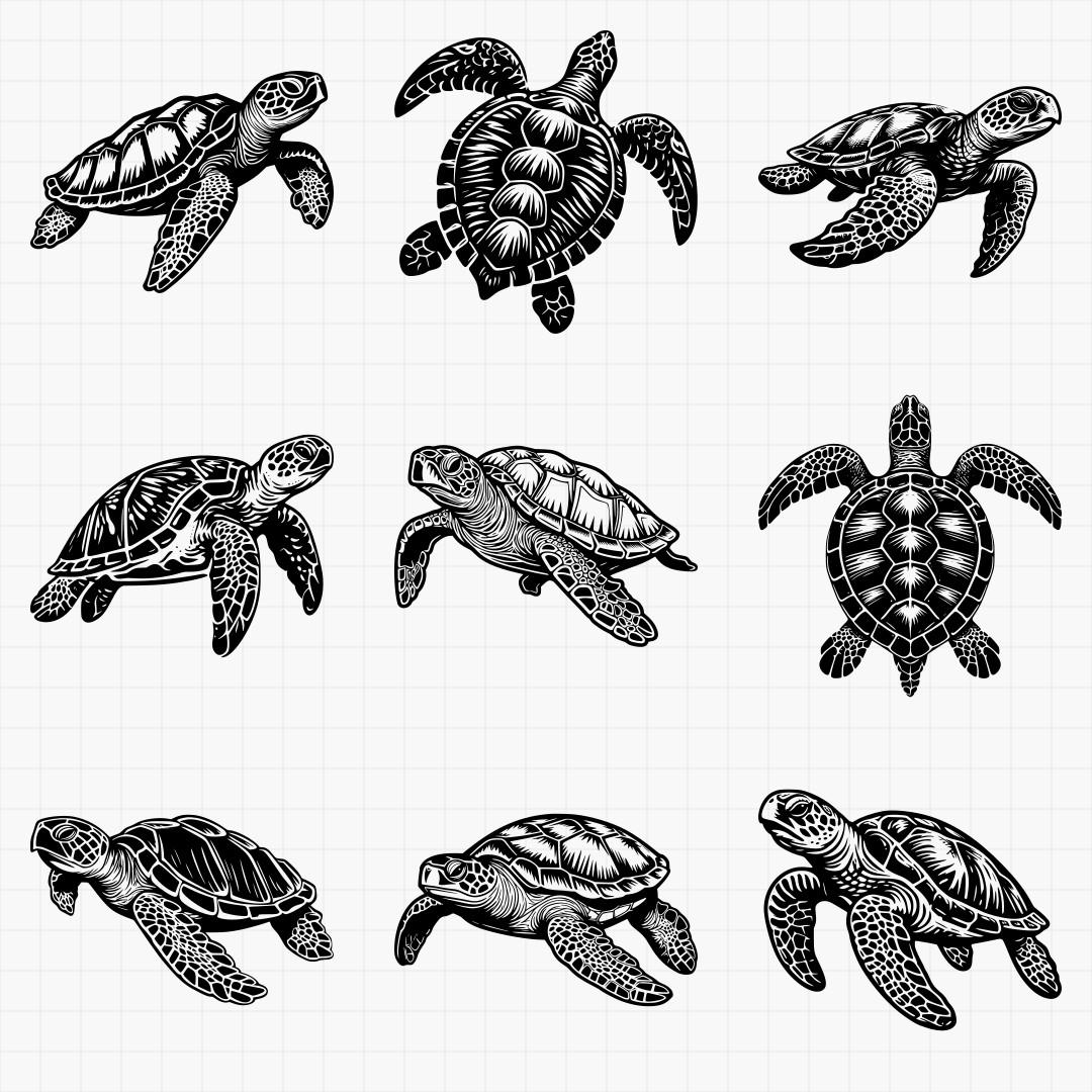 Seaturtles Pack - Thumbnail 3