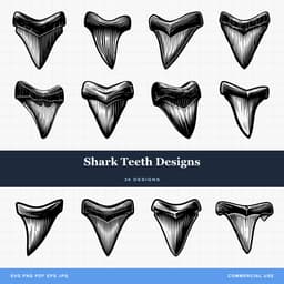 Shark Teeth Designs