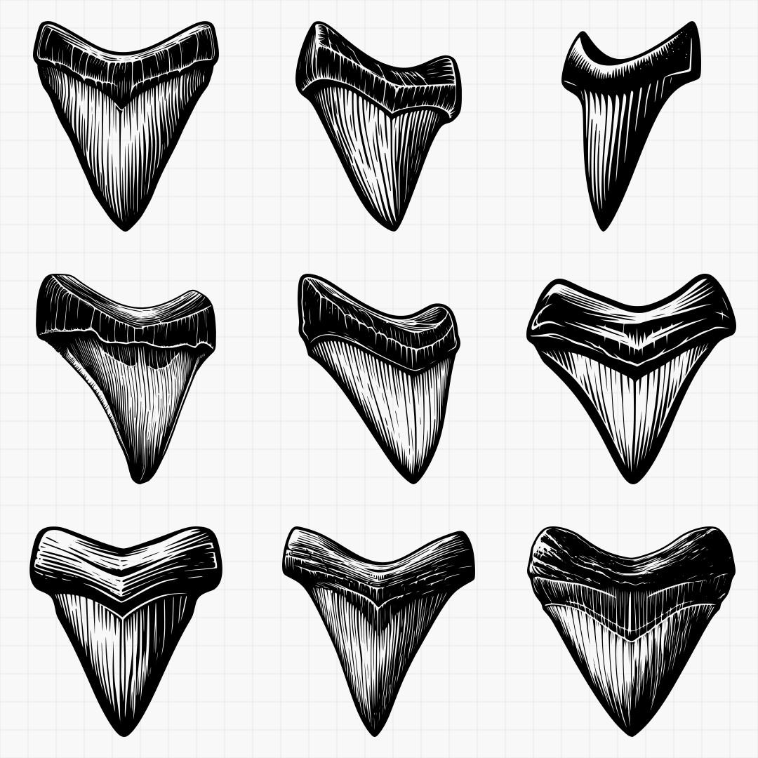 Shark Teeth Designs - Thumbnail 3