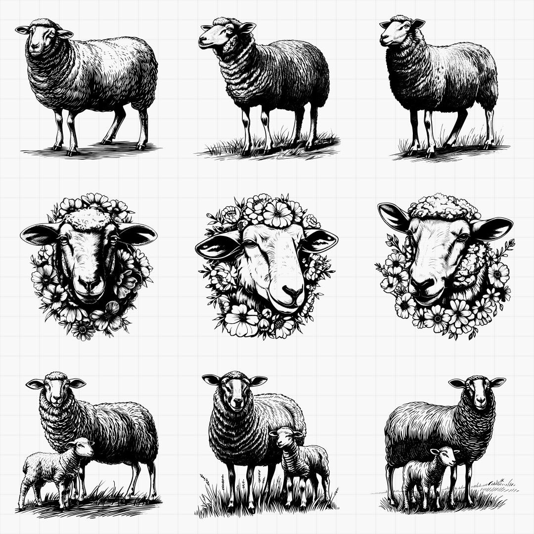 Sheep Designs - Thumbnail 4