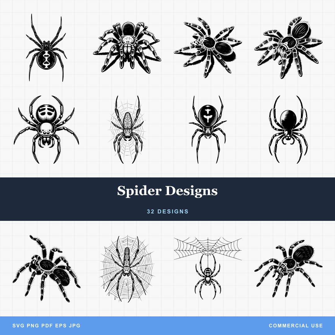 Spider Designs