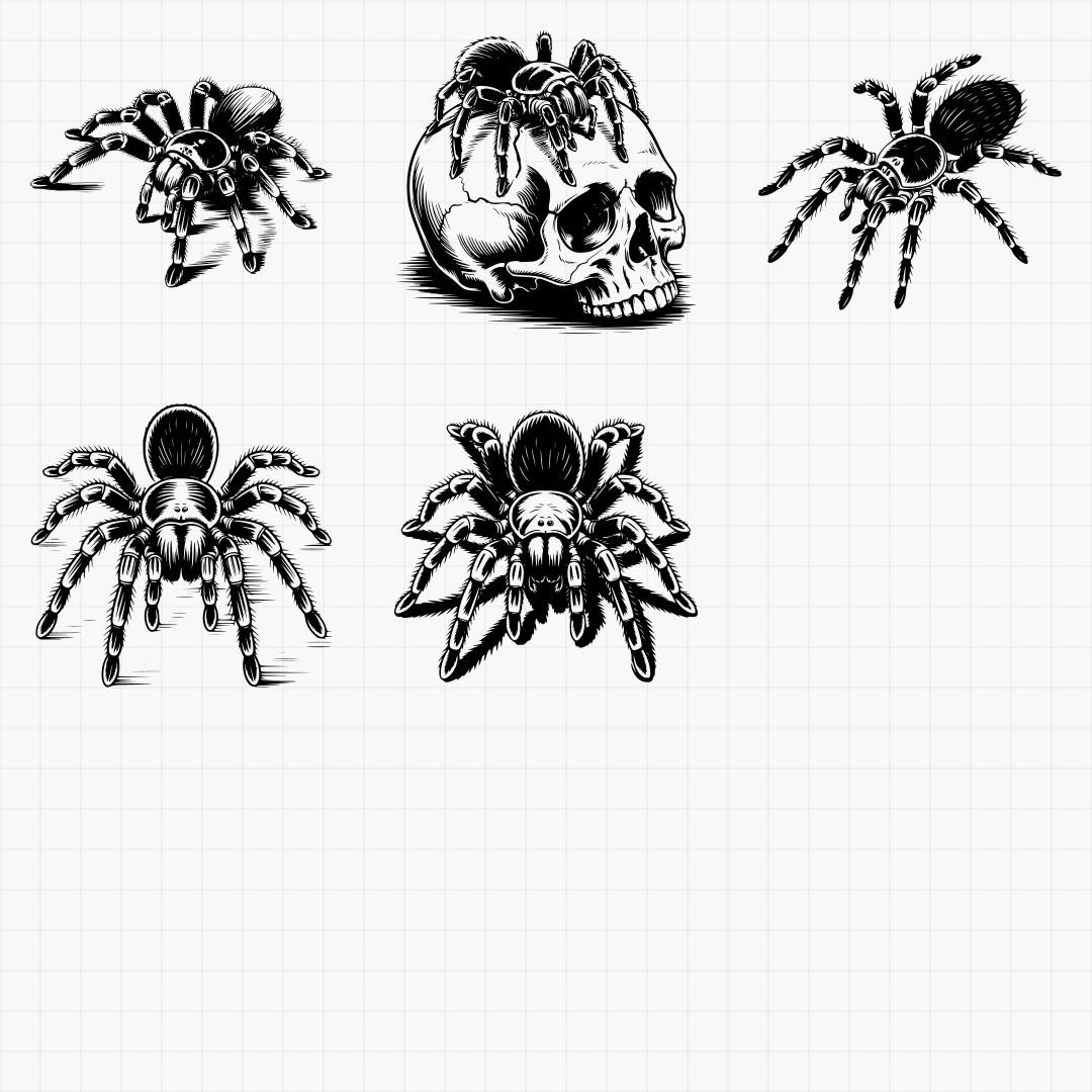 Spider Designs - Thumbnail 5