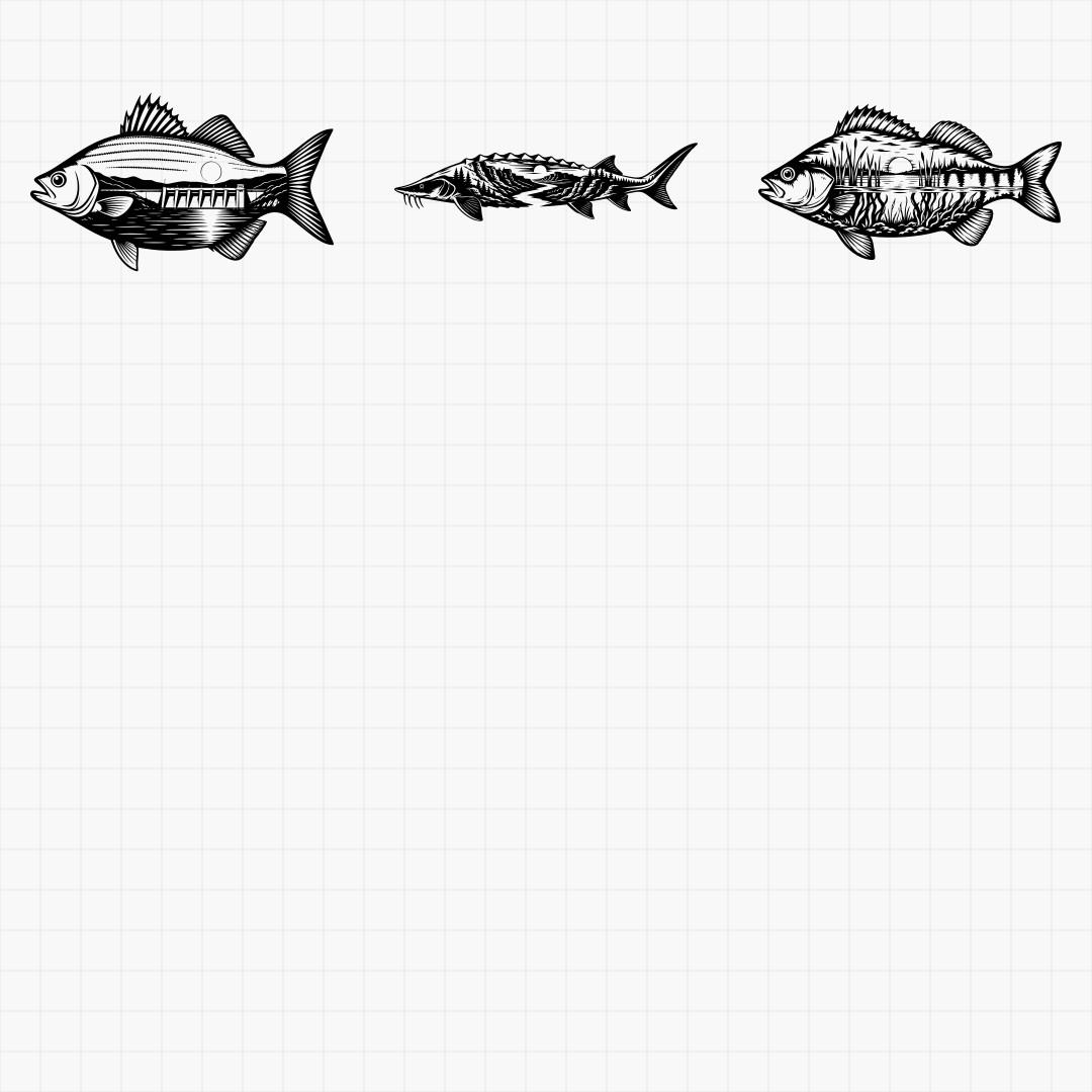 Sport Fish Scenes - Thumbnail 5