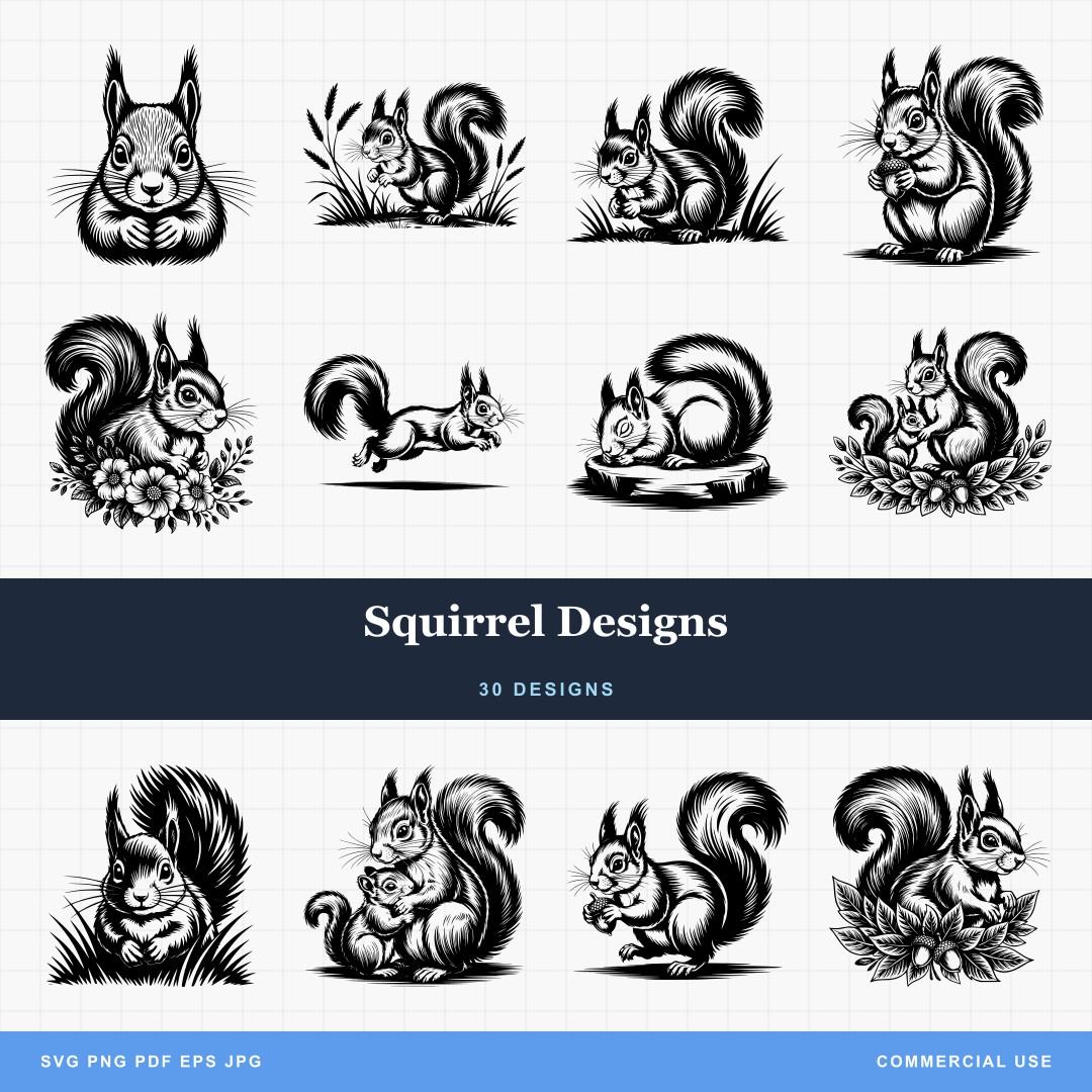 Squirrel Designs