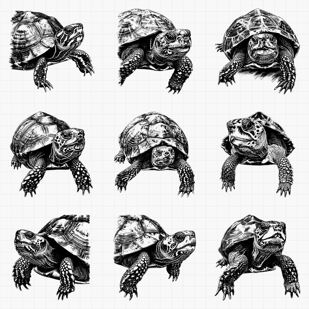 Turtle Design Pack - Thumbnail 4