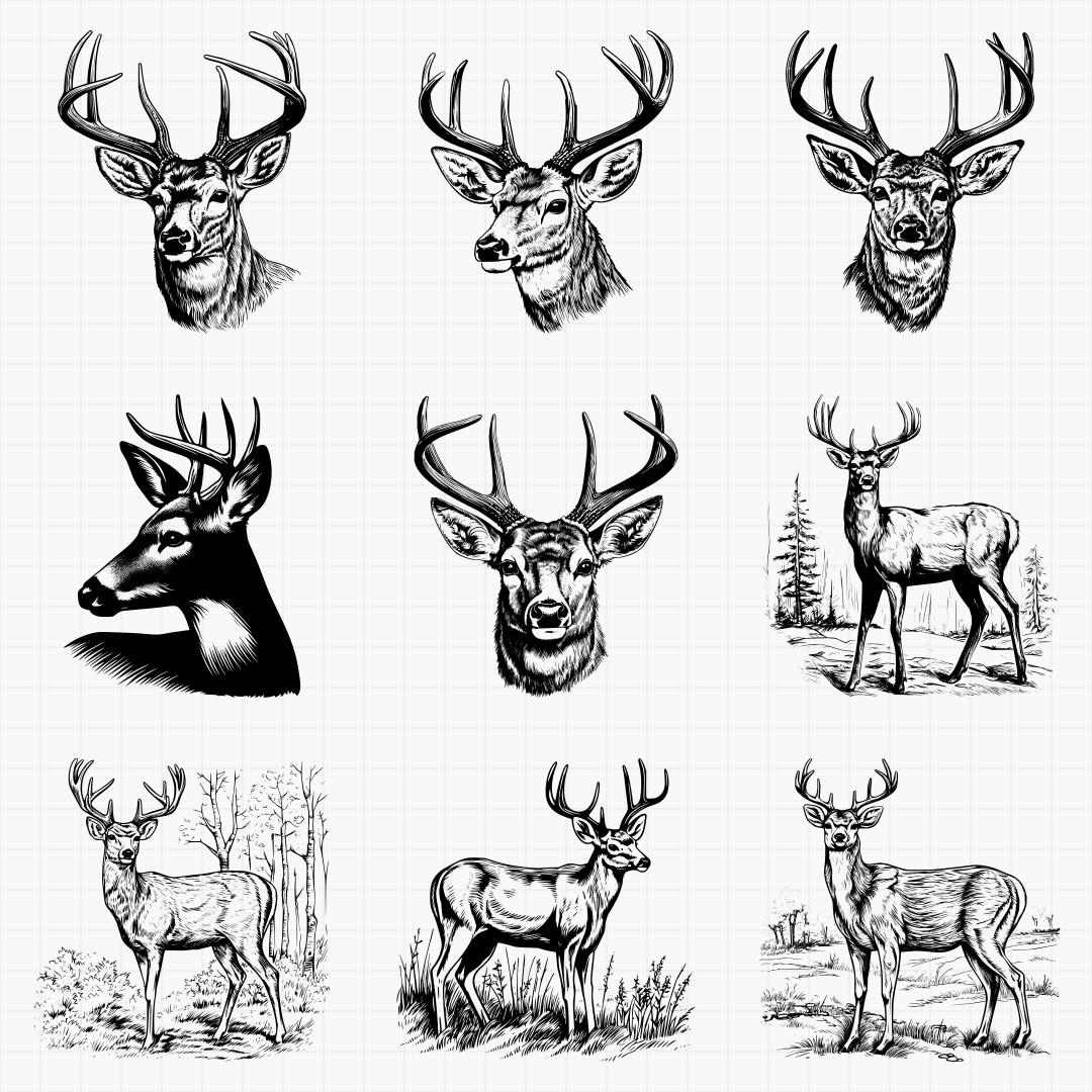 White Tail Deer Designs - Thumbnail 3