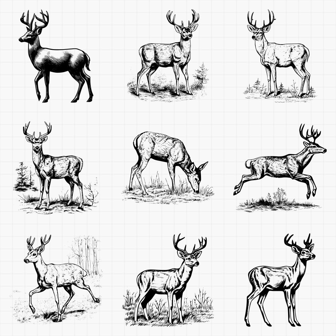 White Tail Deer Designs - Thumbnail 4