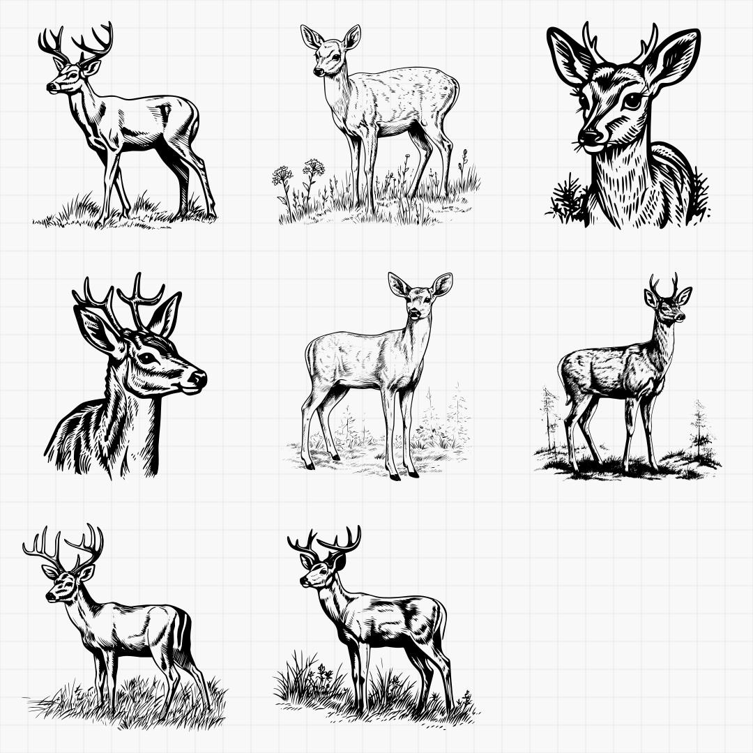White Tail Deer Designs - Thumbnail 5