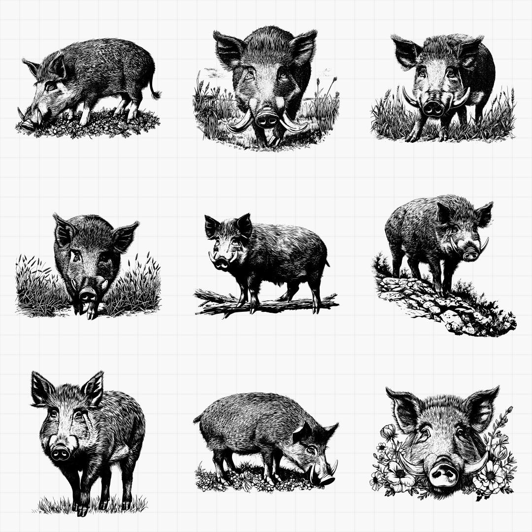 Wild Boar Designs Pack - Thumbnail 3