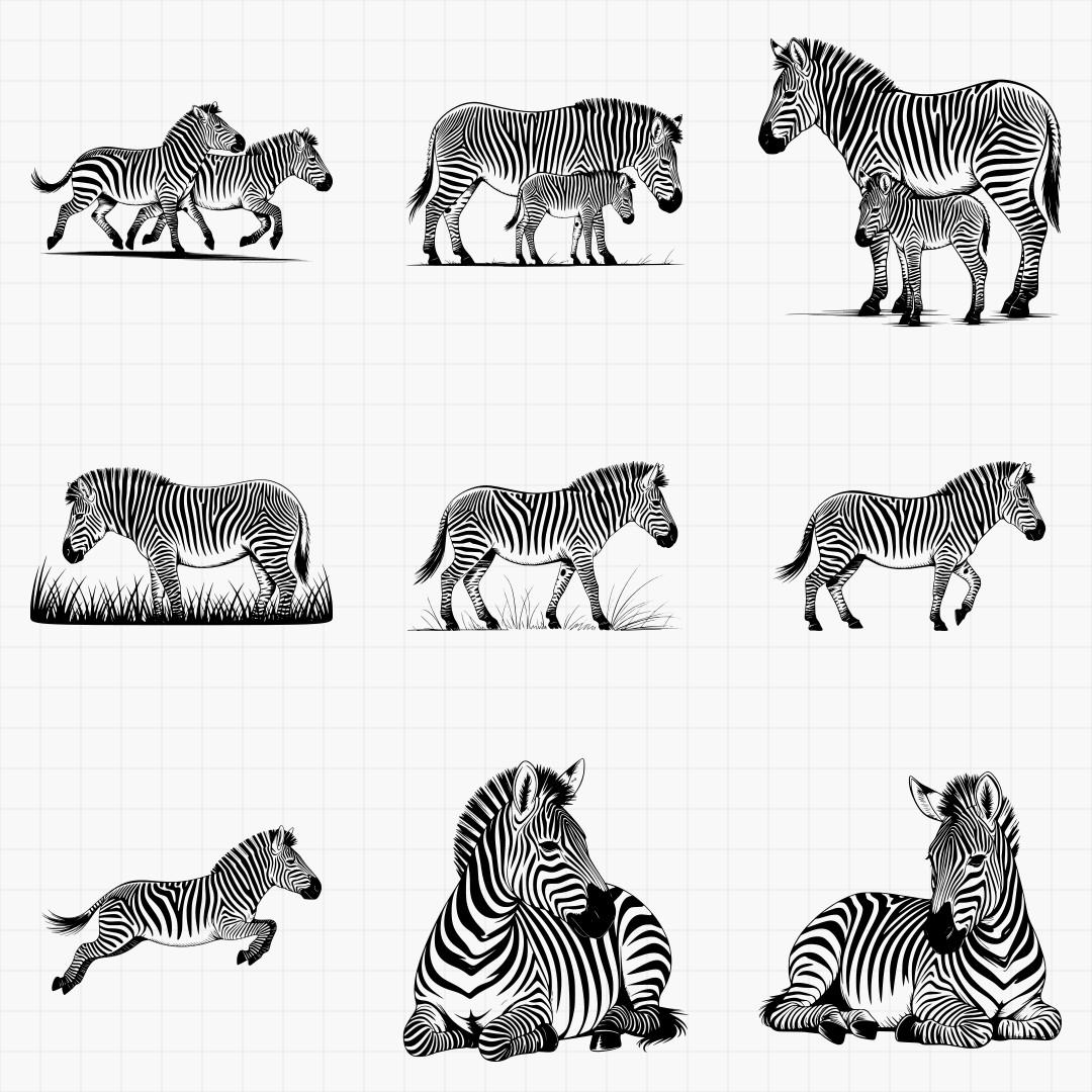 Zebra Svg Bundle - Thumbnail 4