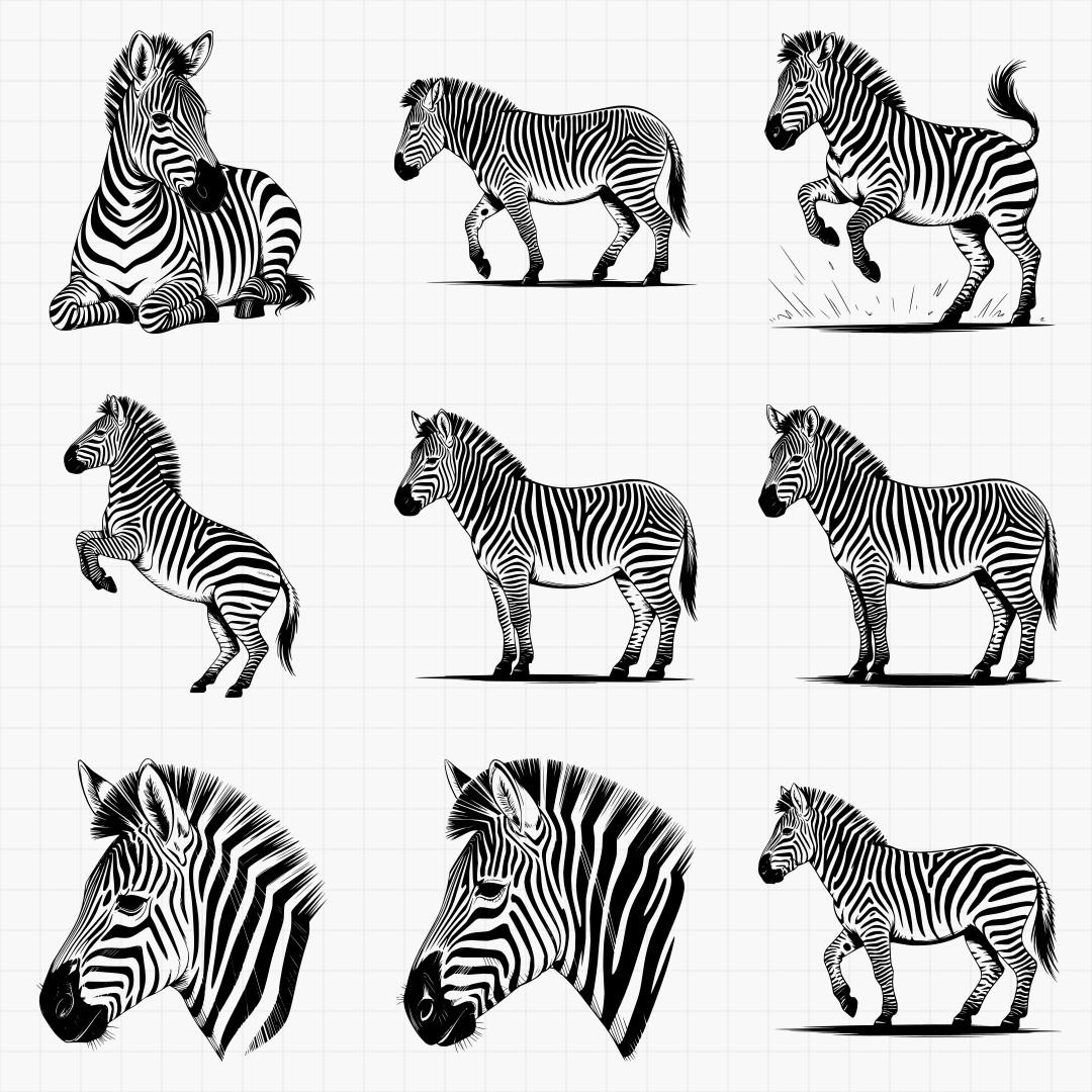 Zebra Svg Bundle - Thumbnail 5