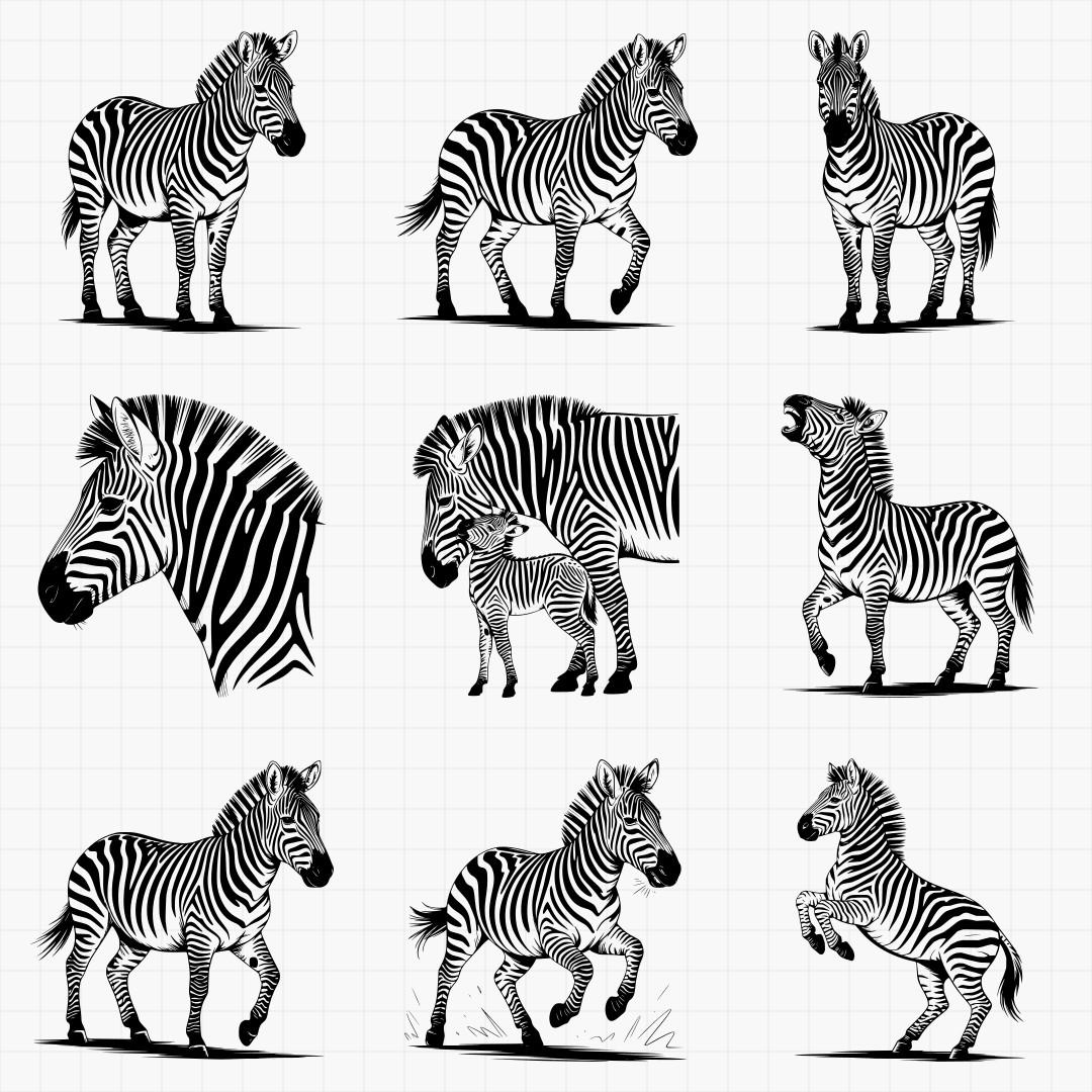 Zebra Svg Bundle - Thumbnail 6
