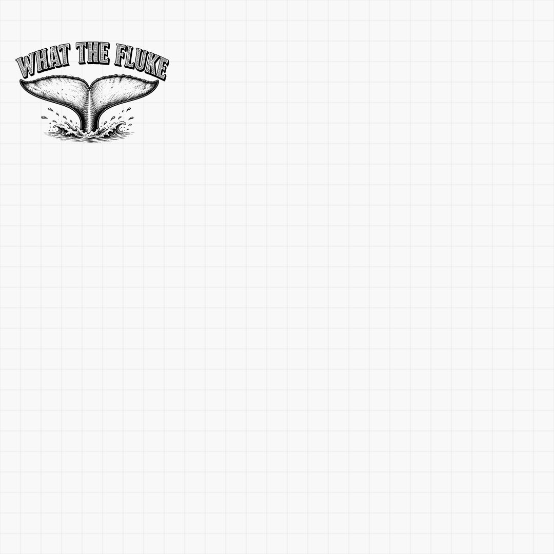 Whale & Orca Designs - Thumbnail 5