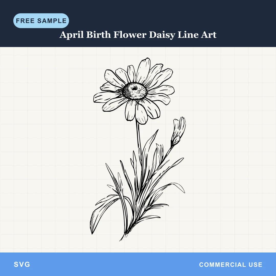 Free April Birth Flower Daisy Line Art SVG