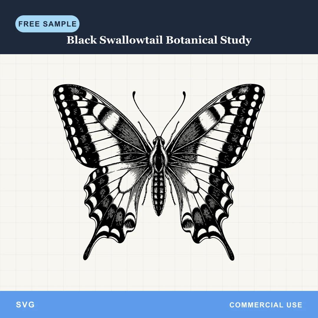 Free Black Swallowtail Botanical Study SVG