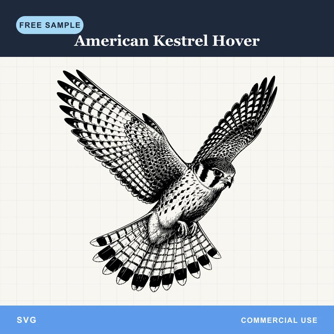 Free American Kestrel Hover SVG