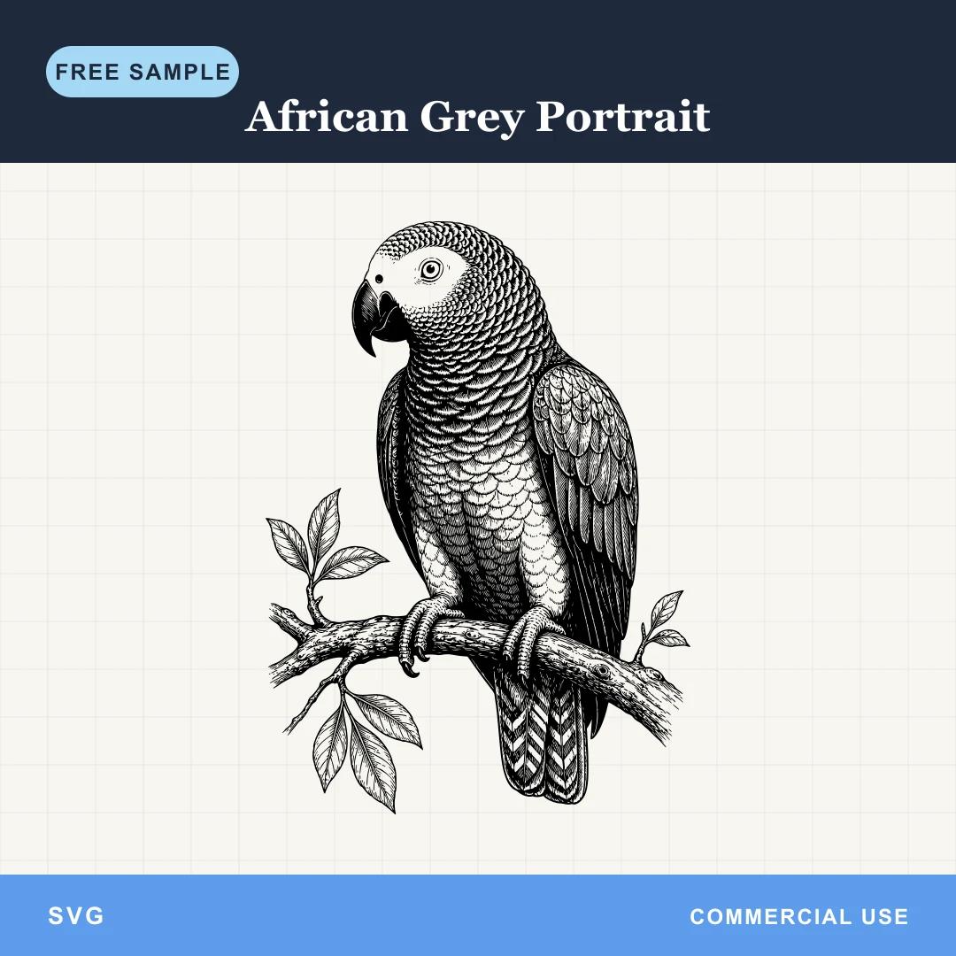 Free African Grey Portrait SVG