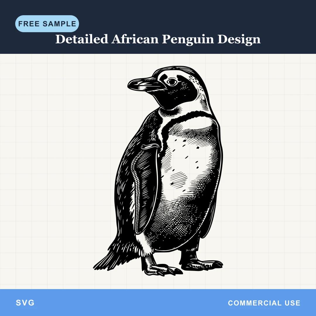Free Detailed African Penguin Design SVG