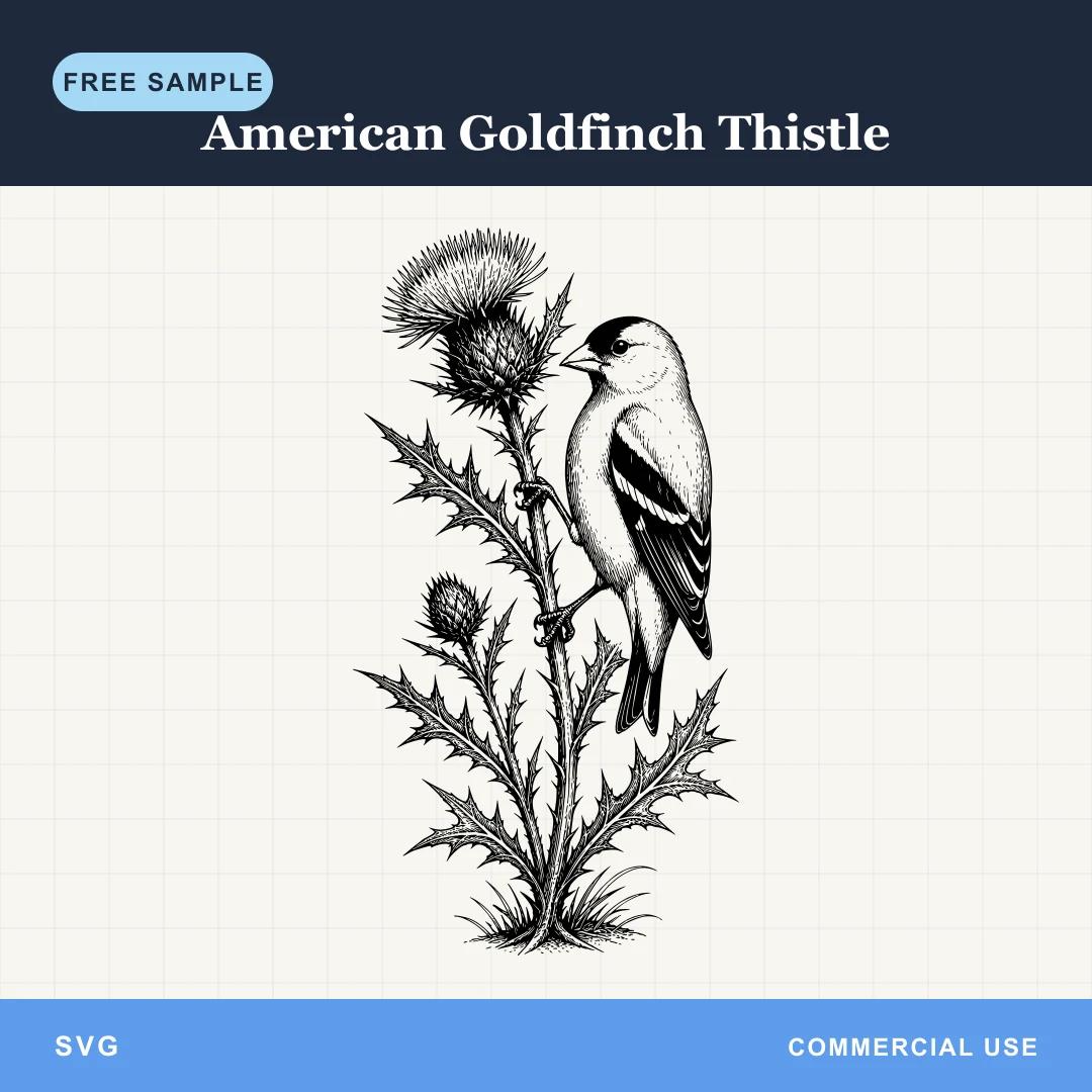 Free American Goldfinch Thistle SVG