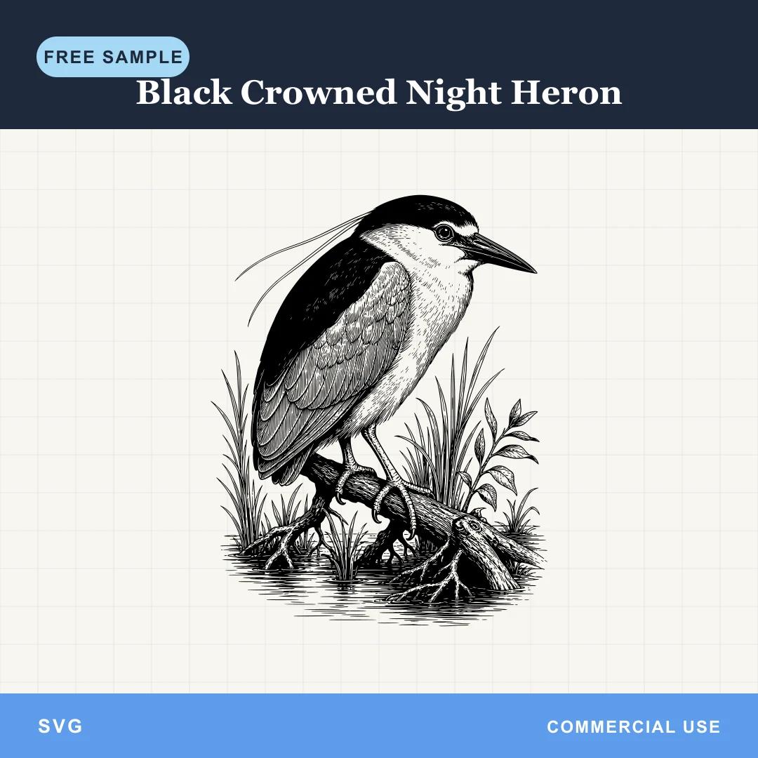 Free Black Crowned Night Heron SVG